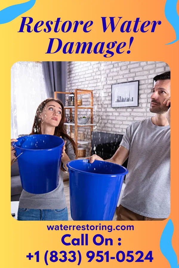 water restoration Pacific Sewage Cleanup Inc Brookside